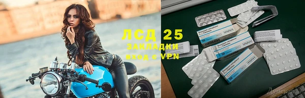 экстази Горняк