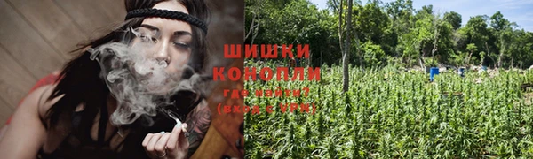 Альфа ПВП Вяземский