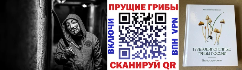 Галлюциногенные грибы Cubensis  Купить  Среднеуральск 